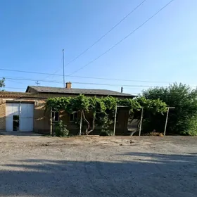 pes jaý