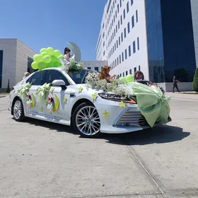 Toyota Camry 2020