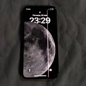 iphone X
