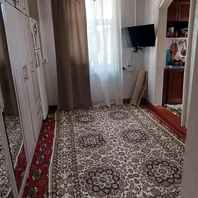 2/3kom. Karkas jaý eýesi satýa