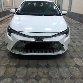 Toyota Corolla 2021