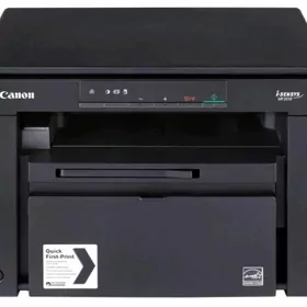 Canon 3010