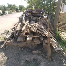 satylyk agac