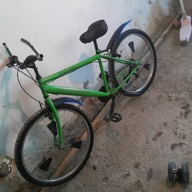 tigir 26