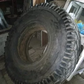 pakrişka kamyr