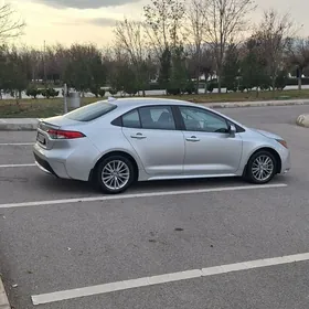 Toyota Corolla 2020