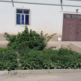 satlik jay Dasoguz