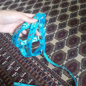 Ошейник