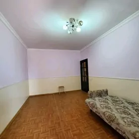 SATLYK JAÝ EÝESINDEN
