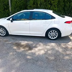 Toyota Corolla 2020
