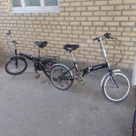 tigir 20 lyk yapon