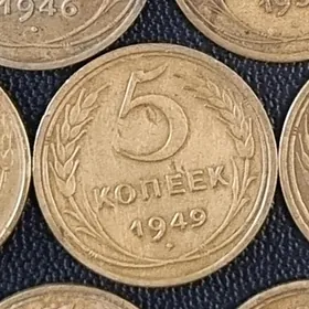 монета
