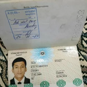 pasport ,harby bilet,