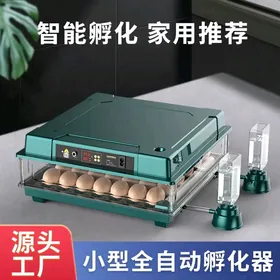 Inkubator