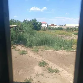 гамыш от маллар учин