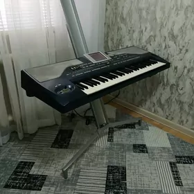 korg pa 800