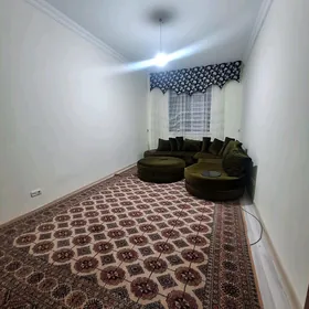 Arenda jay Mir8