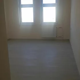 Анев