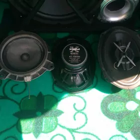 sony kalonka