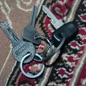 Acar tapyly