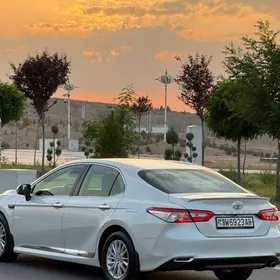 Toyota Camry 2019