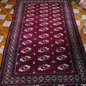 Satlyk haly bar