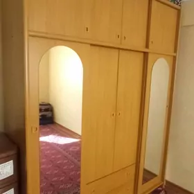 шфанер