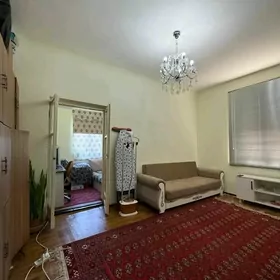 Satlyk svaboda sirkin toveregi