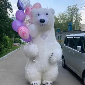 Miska Mishka animator аниматор