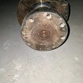 Wal cummins