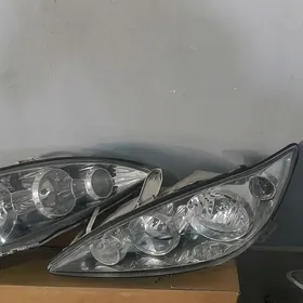 fara dugty Camry haliji