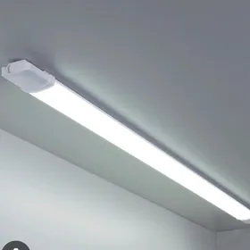 pataloçni çyra dostawka mugt