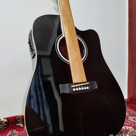 TAYSTE ELEKTRO GITARA PAKET