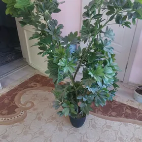 искуственные растения