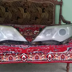 Palta cemry onki fara