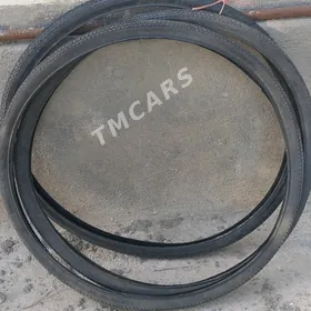 tigirin dasgysy