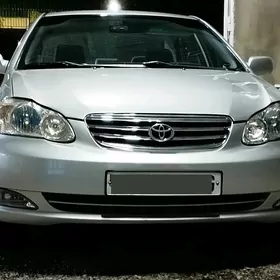 carolla 2004-07 poduska