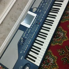 KORG PA 800