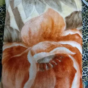 плед