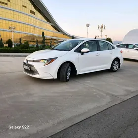 Toyota Corolla 2020