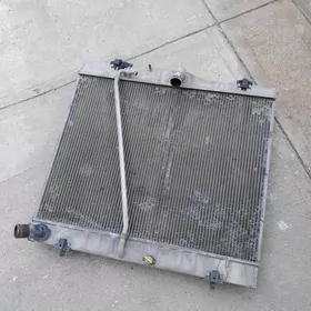 radiyator duty hayis