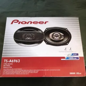 pioneer
