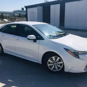 Toyota Corolla 2020