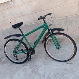 tigir Turkmenistan 26