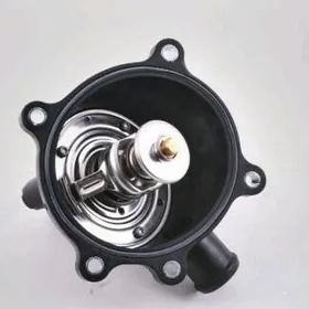 Termostat Touareg 4,2