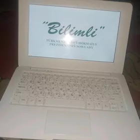 Bilimli kampiyutur