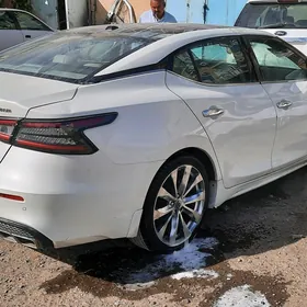 Nissan Maxima 2023