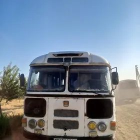 ПАЗ 3203 1980