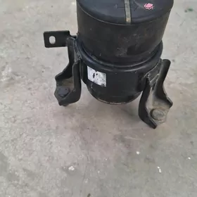 Paduşka öküz kelle