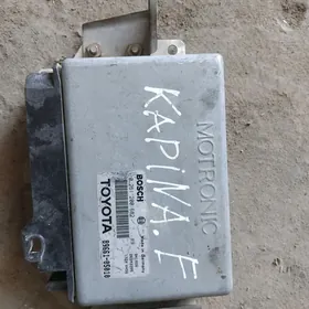 кампитур